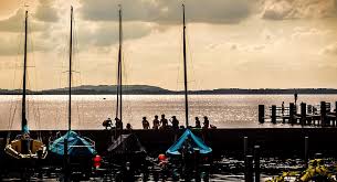 청년 전세보증금반환보증 보증료 지원사업