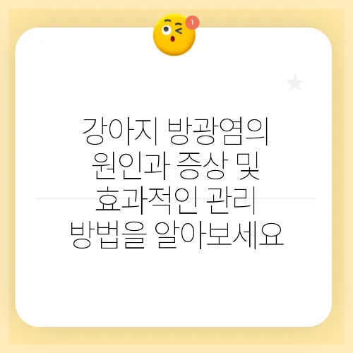 강아지 방광염의 원인과 증상 및 효과적인 관리 방법을 알아보세요