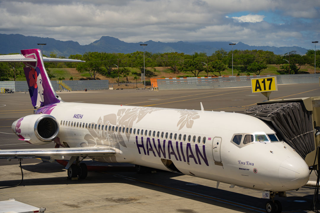 하와이안 항공사