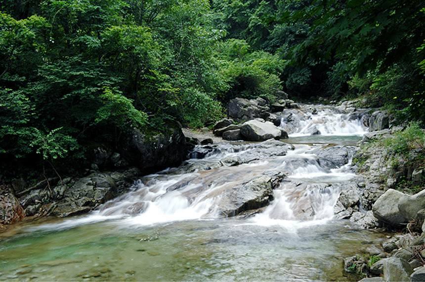 국내 여름 계곡 여행지 추천 백운계곡