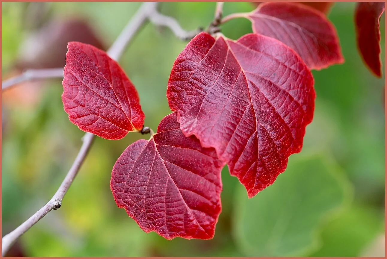 정기예금 금리 가장 높은곳