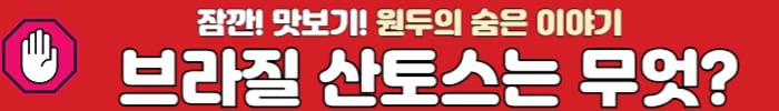 브라질 산토스