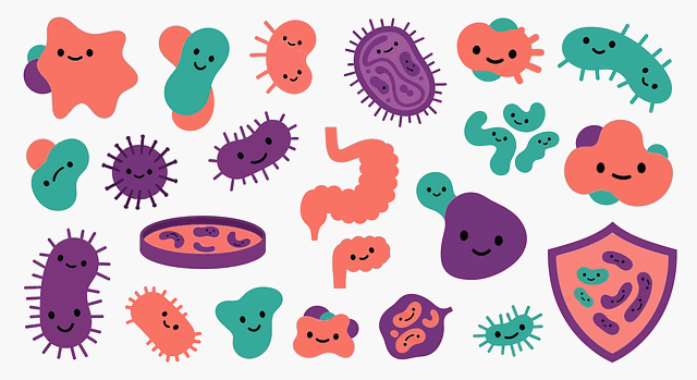 장 건강과 피부 &ndash; 여드름과 장내세균의 연결