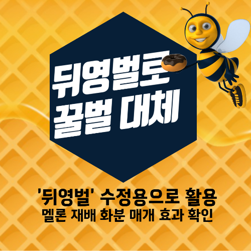 알트태그-뒤영벌 포스팅의 썸네일