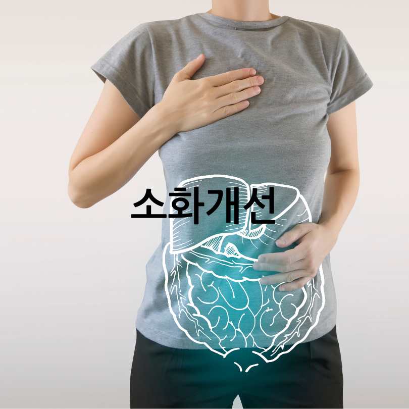 노인 영양제 추천