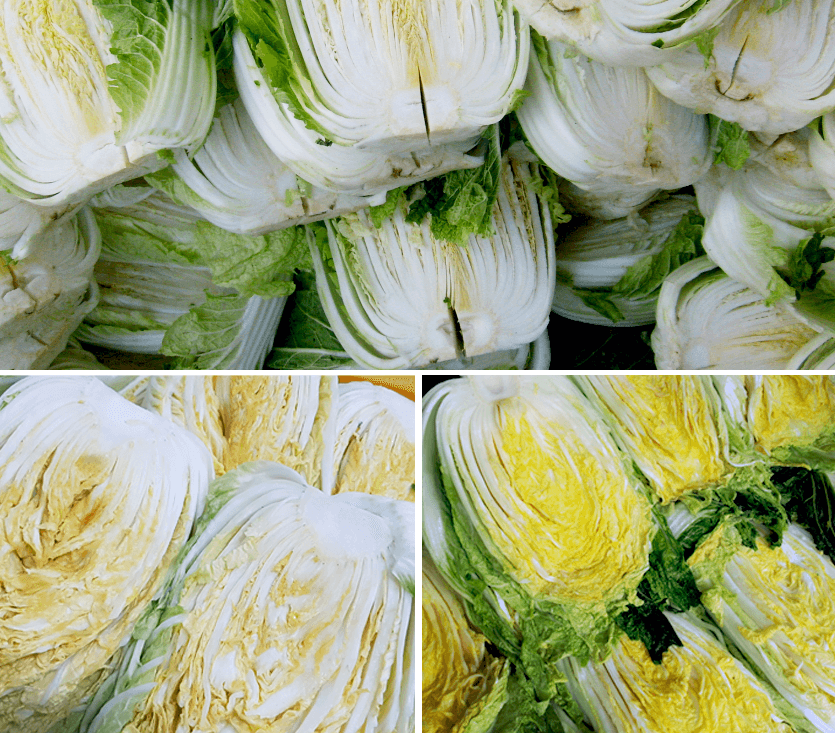 해남 절임배추 20kg 사전예약 가격비교