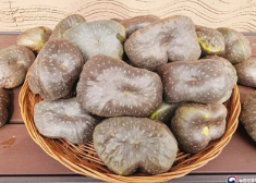 하늘마-사진9
