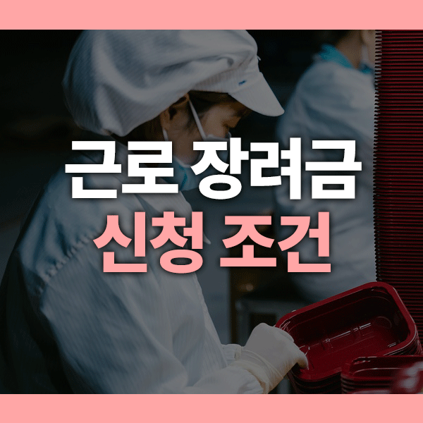 근로 장려금 신청 조건 총정리 ❘ 2025년 최신 기준 + 소득요건 완벽 정리