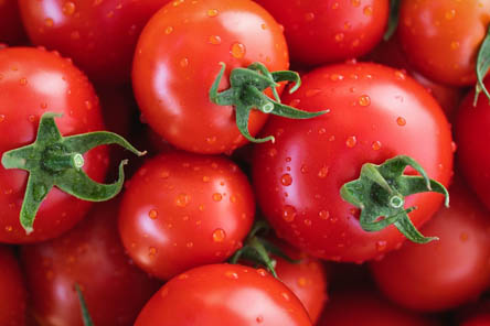 미세먼지-배출도움-토마토