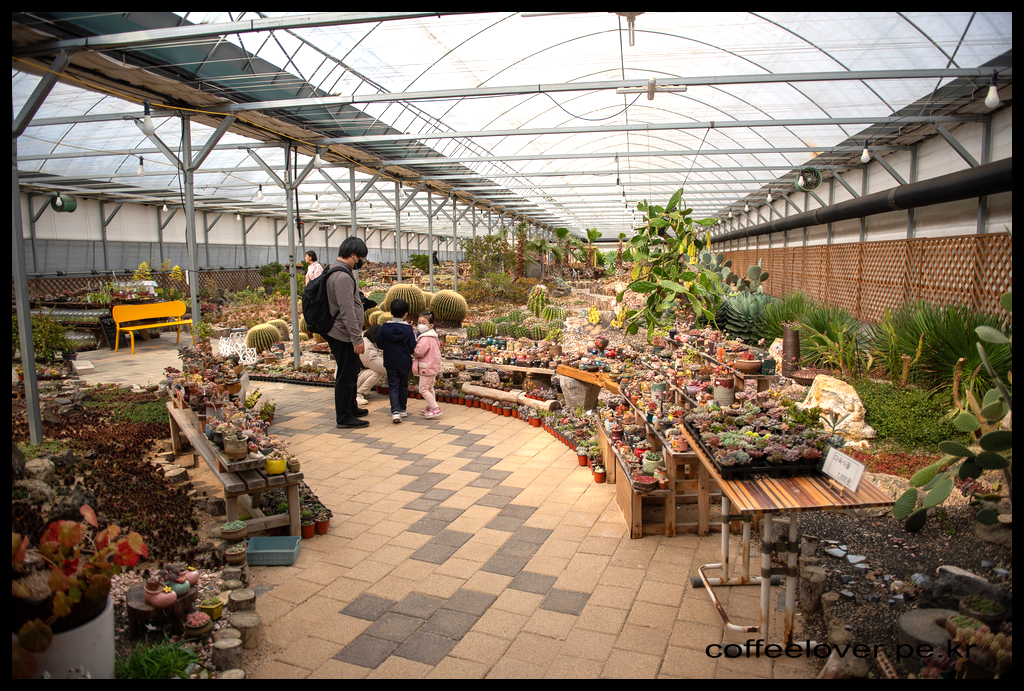 이천여행 아이와 가볼만한곳 덕평공룡수목원