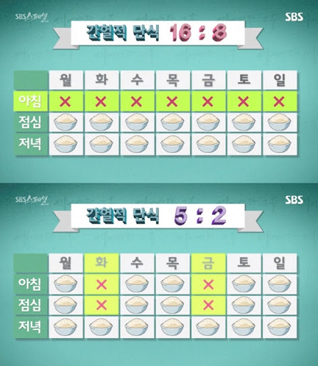 간헐적 단식 설명