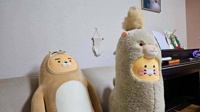 춘식이 라이언 투샷