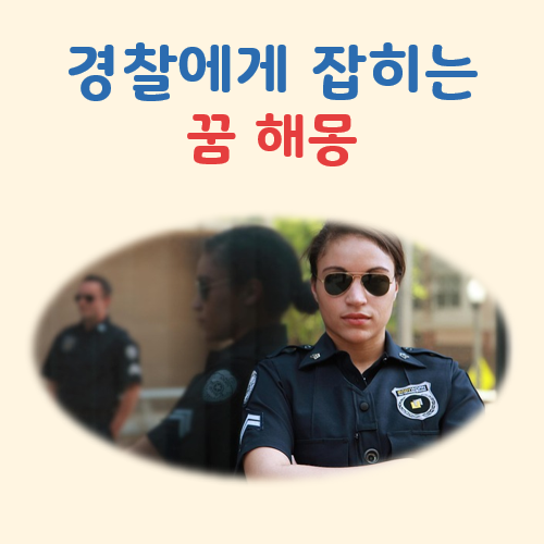 경찰에게 잡히는 꿈 해몽 대표 이미지