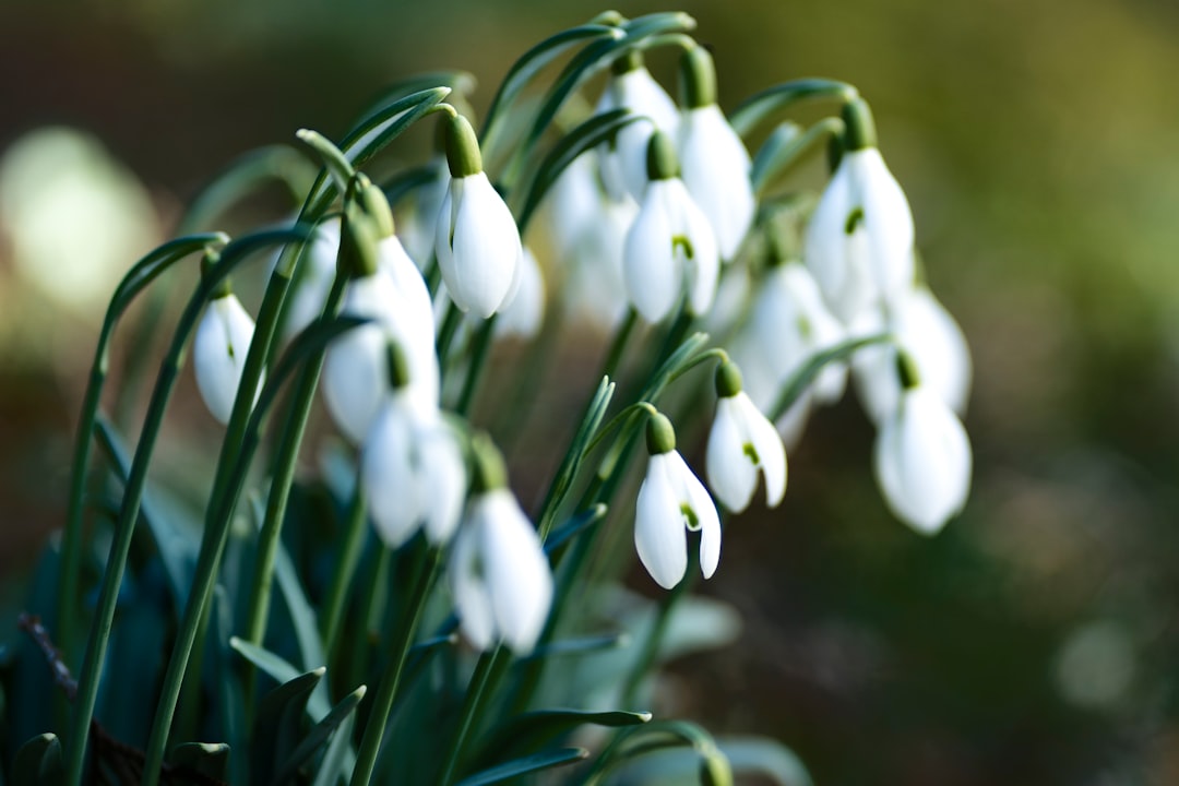 March