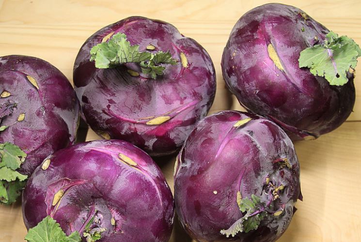 콜라비 특성 효능 먹는방법 : 건강을 위한 신비로운 식품의 발견