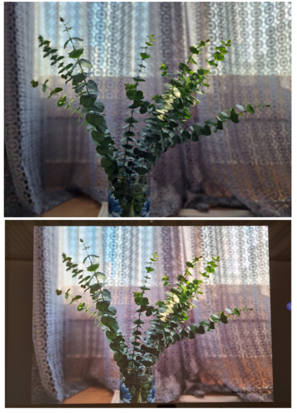 종이_필름_화질을_보여주는_사진