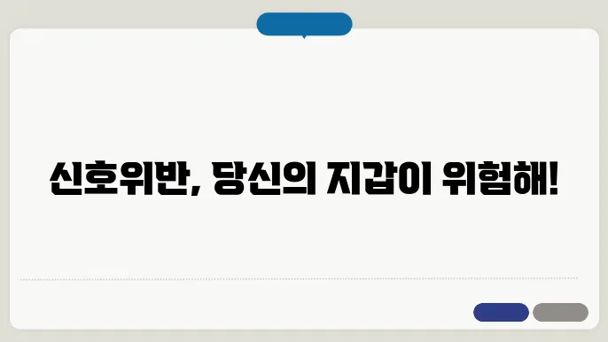 신호위반 사고시 벌금