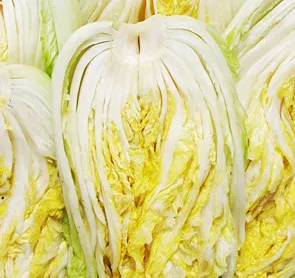 땅끝 해남 절임배추