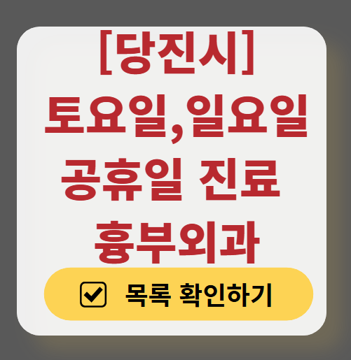 당진시 주말 토요일 일요일 흉부외과 진료 병원 목록 ❘ 공휴일 진료 영업 병원 리스트 찾기