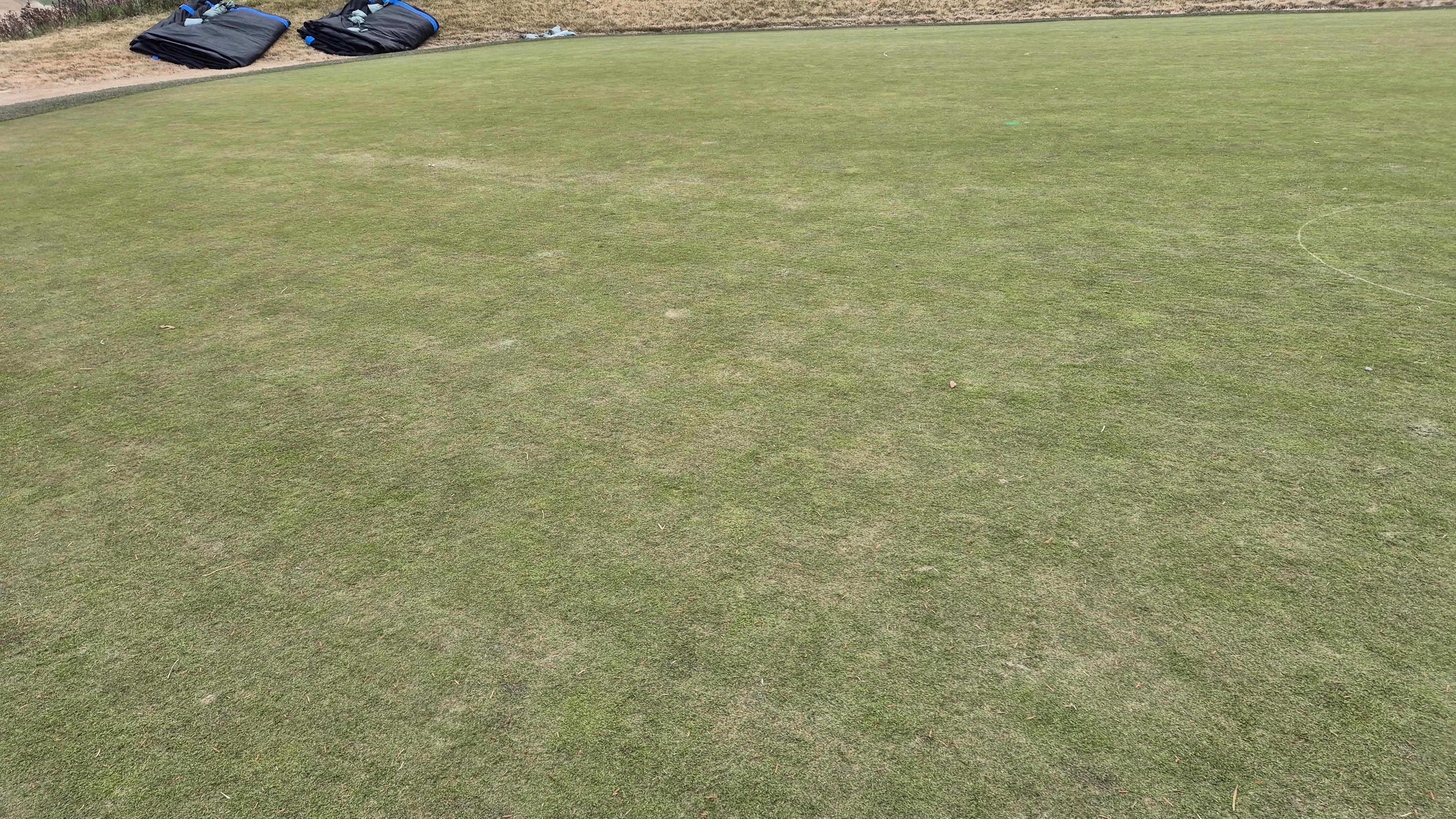 힐데스하임 레이크-힐 코스 그린관리 상태