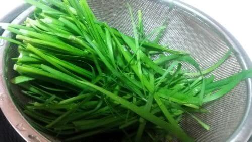 오이무침-오이부추무침-만들기-만드는법