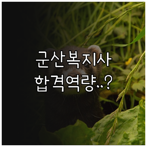 군산시 시니어클럽 사회복지사 채용 공..