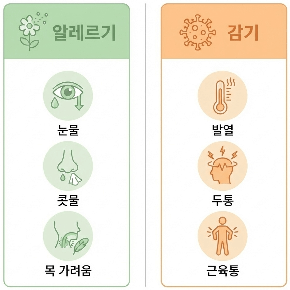 알레르기 비염과 감기 증상 차이 비교 표 인포그래픽