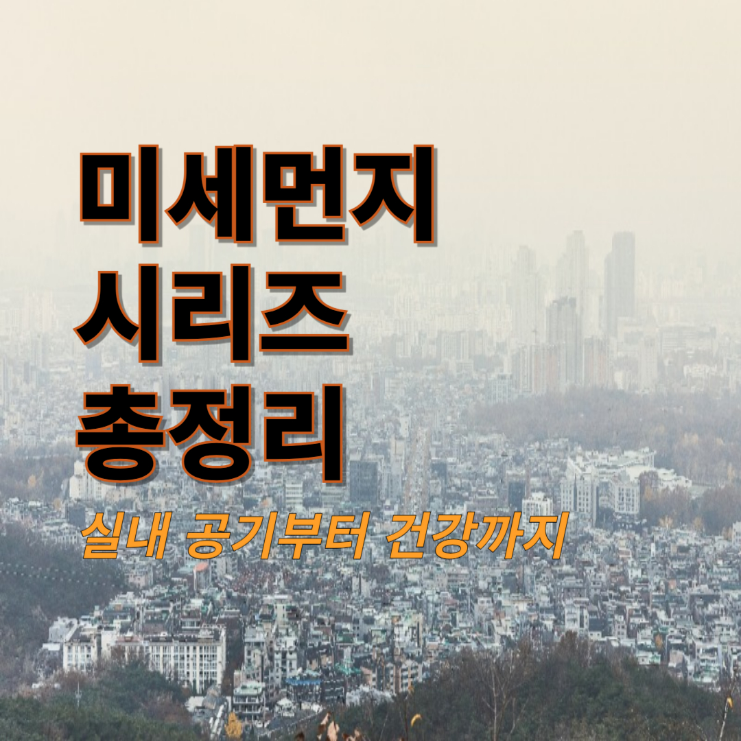 🌫 미세먼지 시리즈 총정리 – 실내 공기부터 건강까지