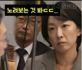정빛나 대변인 나이 학력 프로필 총정리｜연합뉴스 기자 출신&middot;천하람 국감&middot;브런슨 전작권 발언 논란