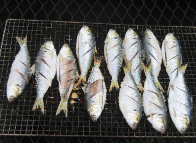 10월 제철 해산물, 10월 제철과일