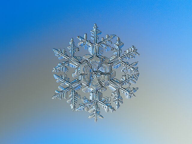 snowflake macro photography