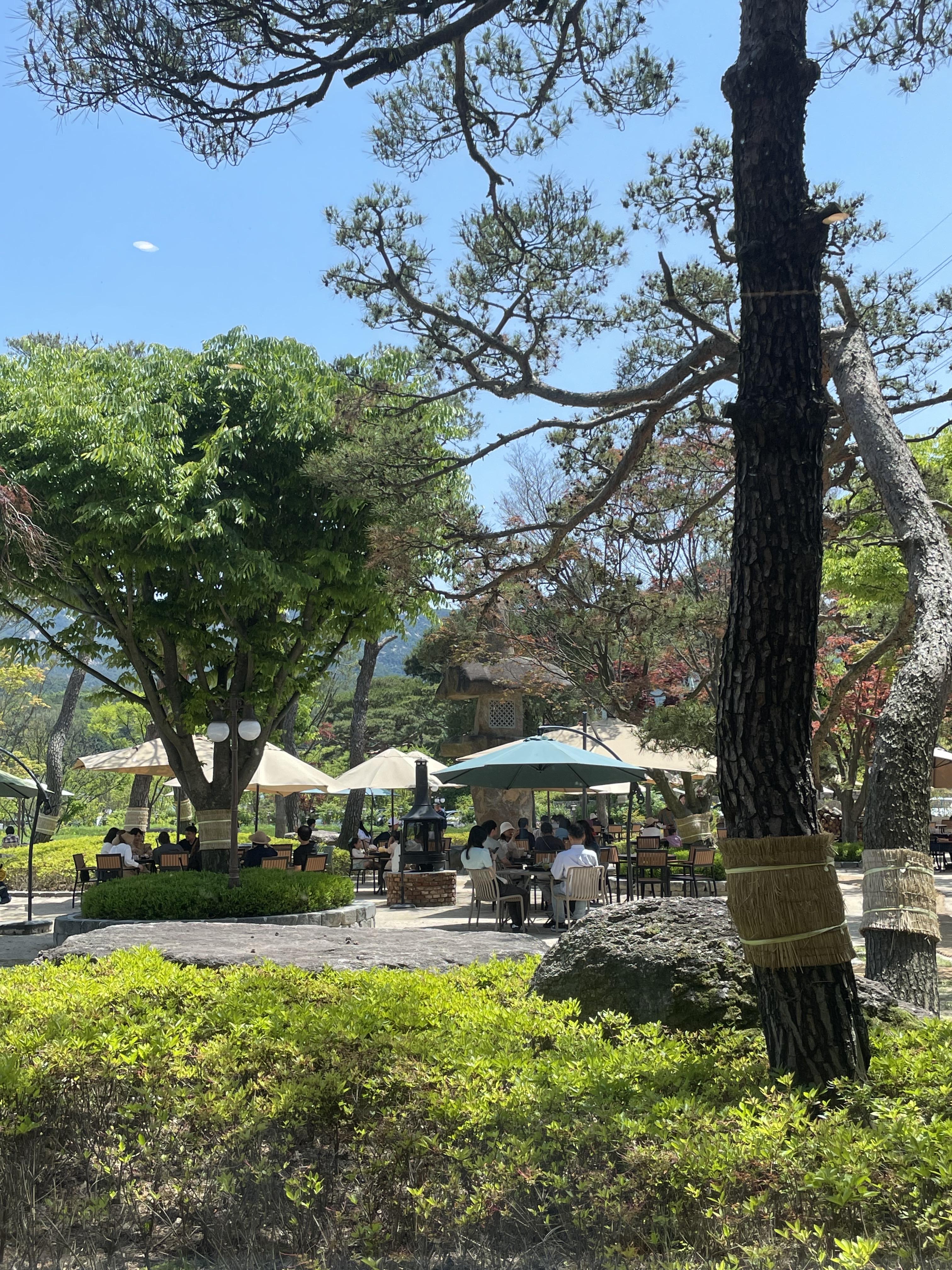 파노라마 베이커리 카페