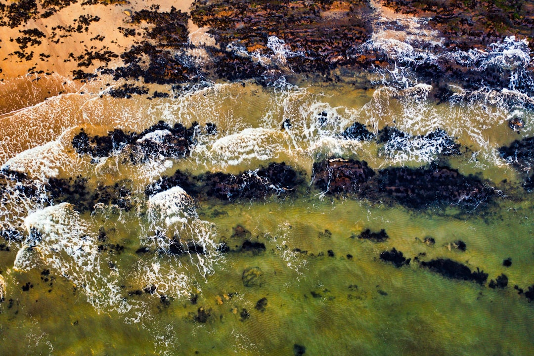 Waste oil