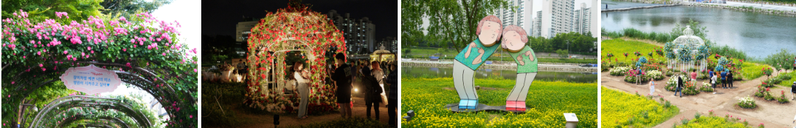 중랑구 장미축제 사진