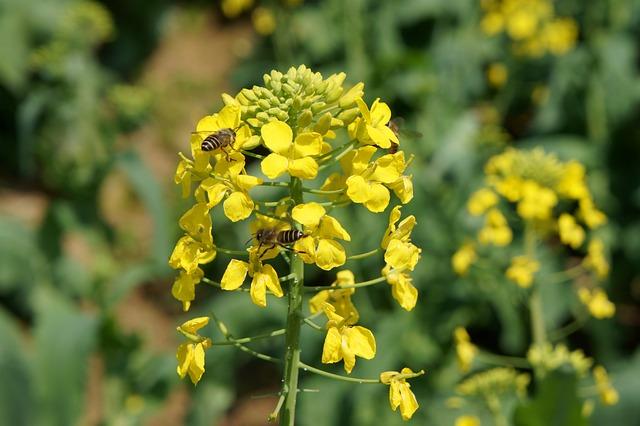 치아 뿌리 염증 치료 약