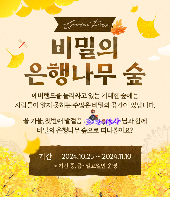 비밀의 은행나무 숲