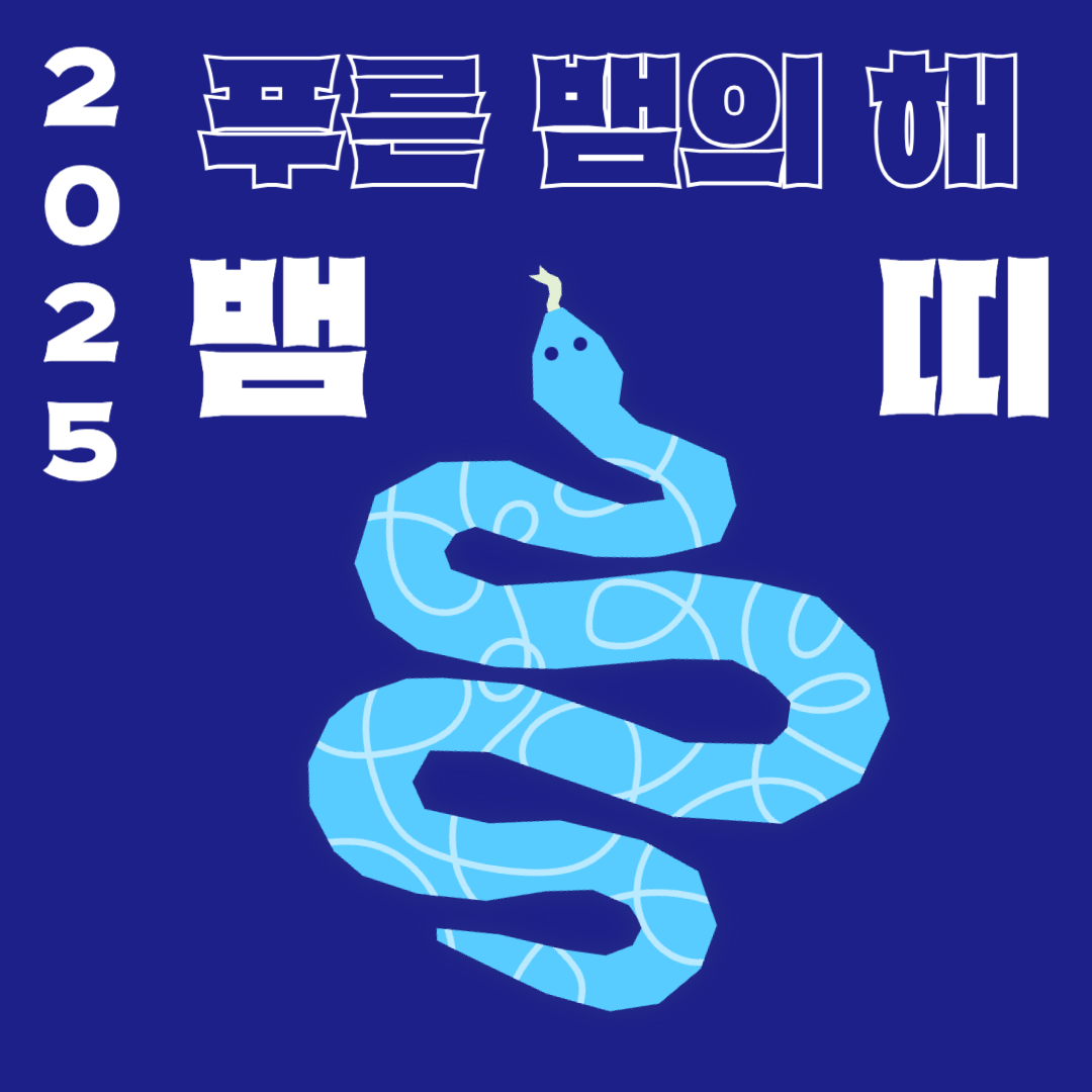 2025 신년운세