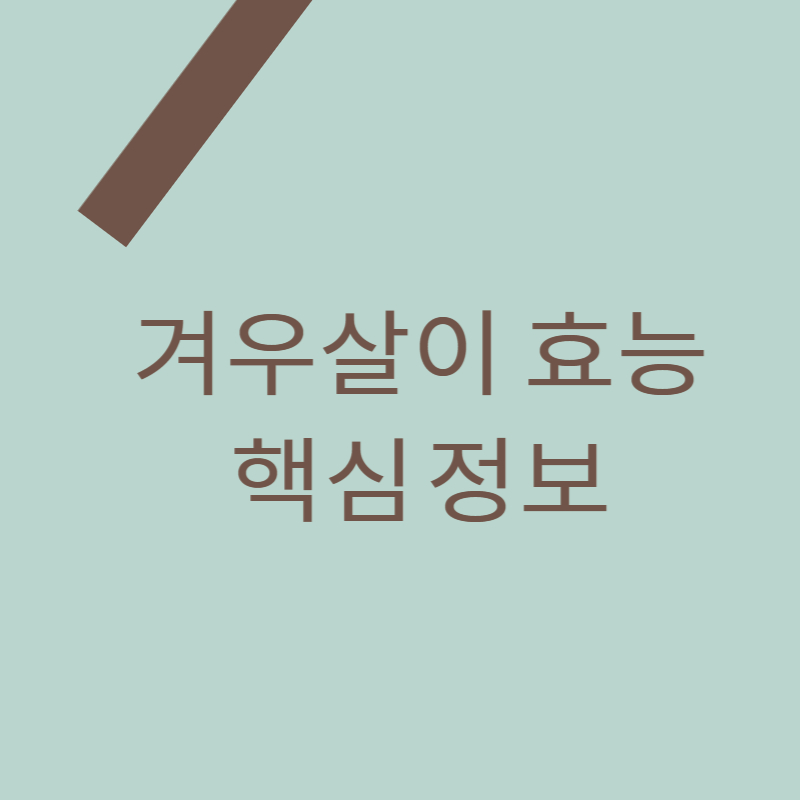 오늘 포스팅의 주제인 겨우살이 효능 핵심정보를 나타내는 대표 썸네일 이미지입니다.