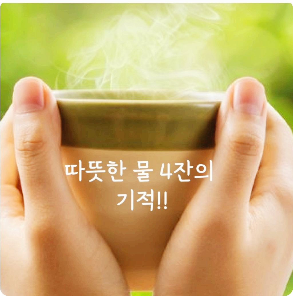 따뜻한 물 4잔