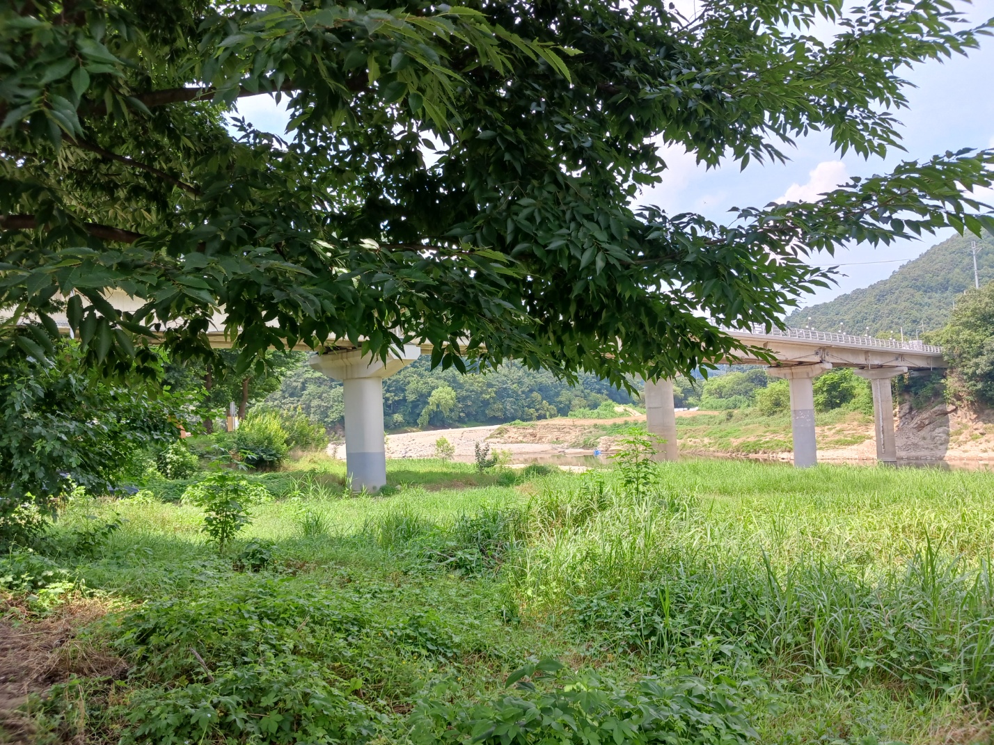 삼탄유원지