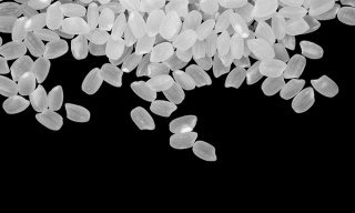 양곡관리법 농안법 여야 합의