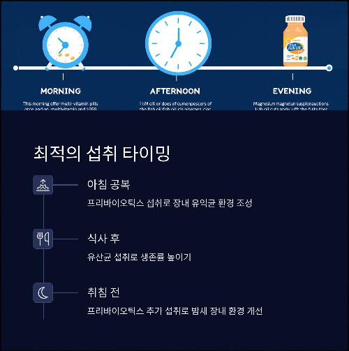 장 건강의 핵심! 프리바이오틱스와 유산균의 차이와 시너지 효과