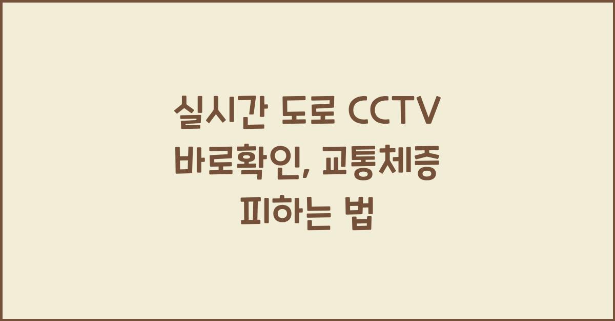 실시간 도로 cctv 바로확인