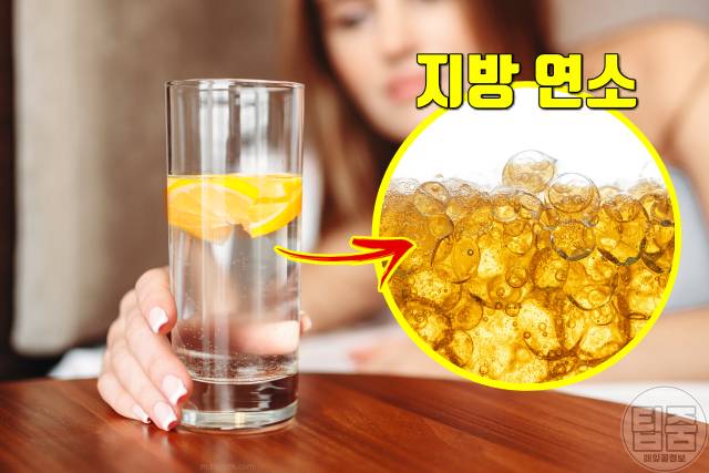 올챙이뱃살 빼는법 올챙이배 빼기 레몬물