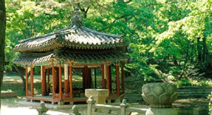 창덕궁 후원