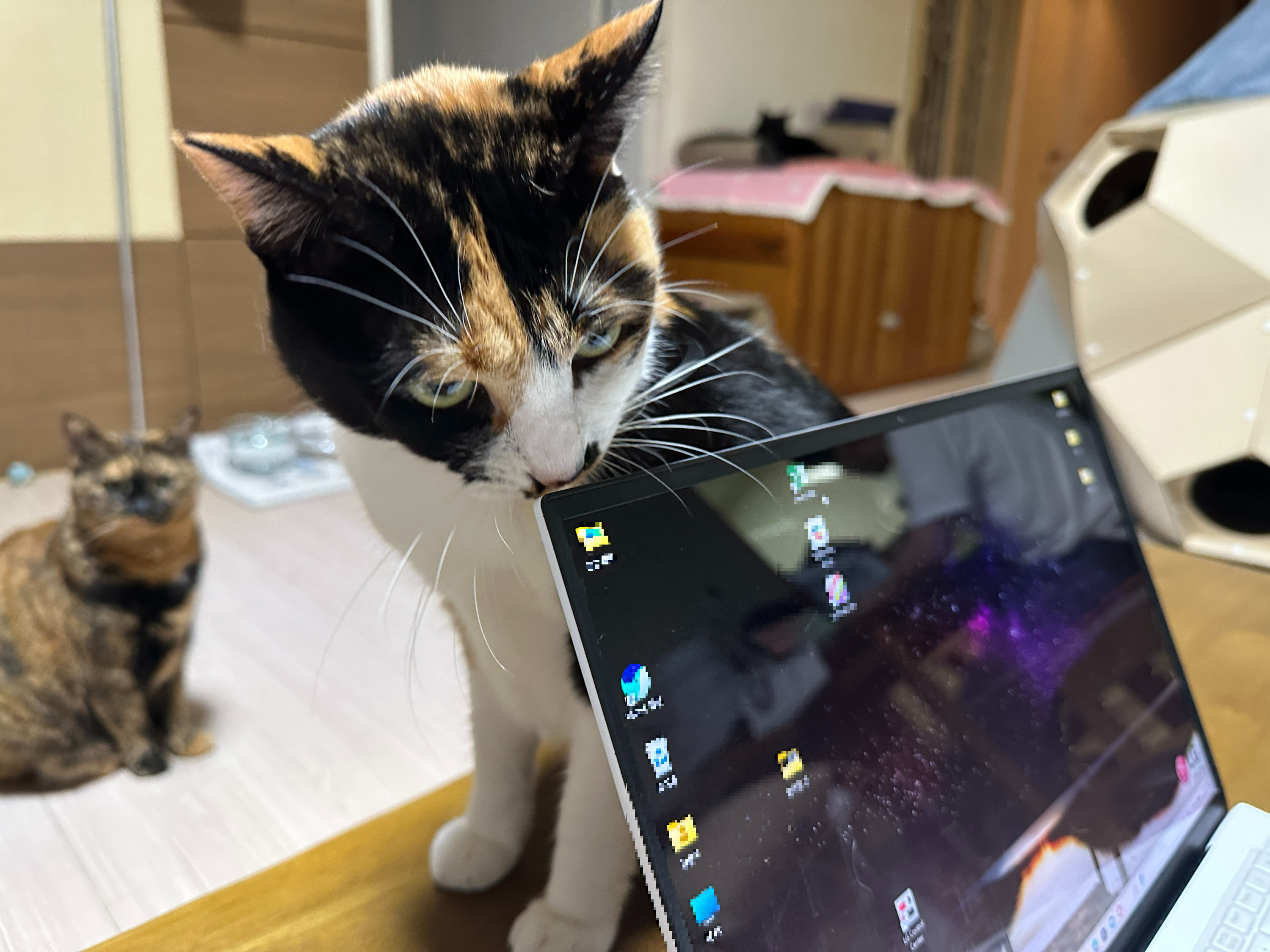 엄마_노트북에_관심을_가지는_다다와_멀리_앉아있는_사랑이