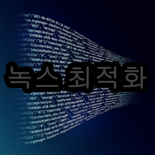 녹스 최적화