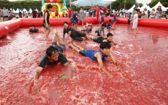제22회 퇴촌 토마토축제 일정 장소 입장료 할인