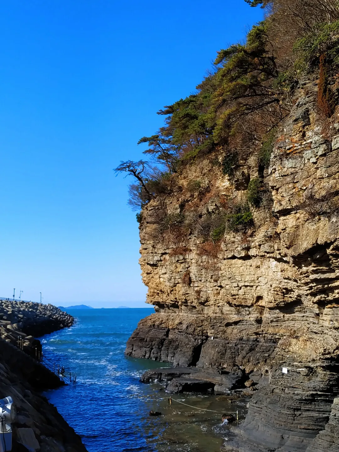 위도 배시간표 예약방법 배 요금_3