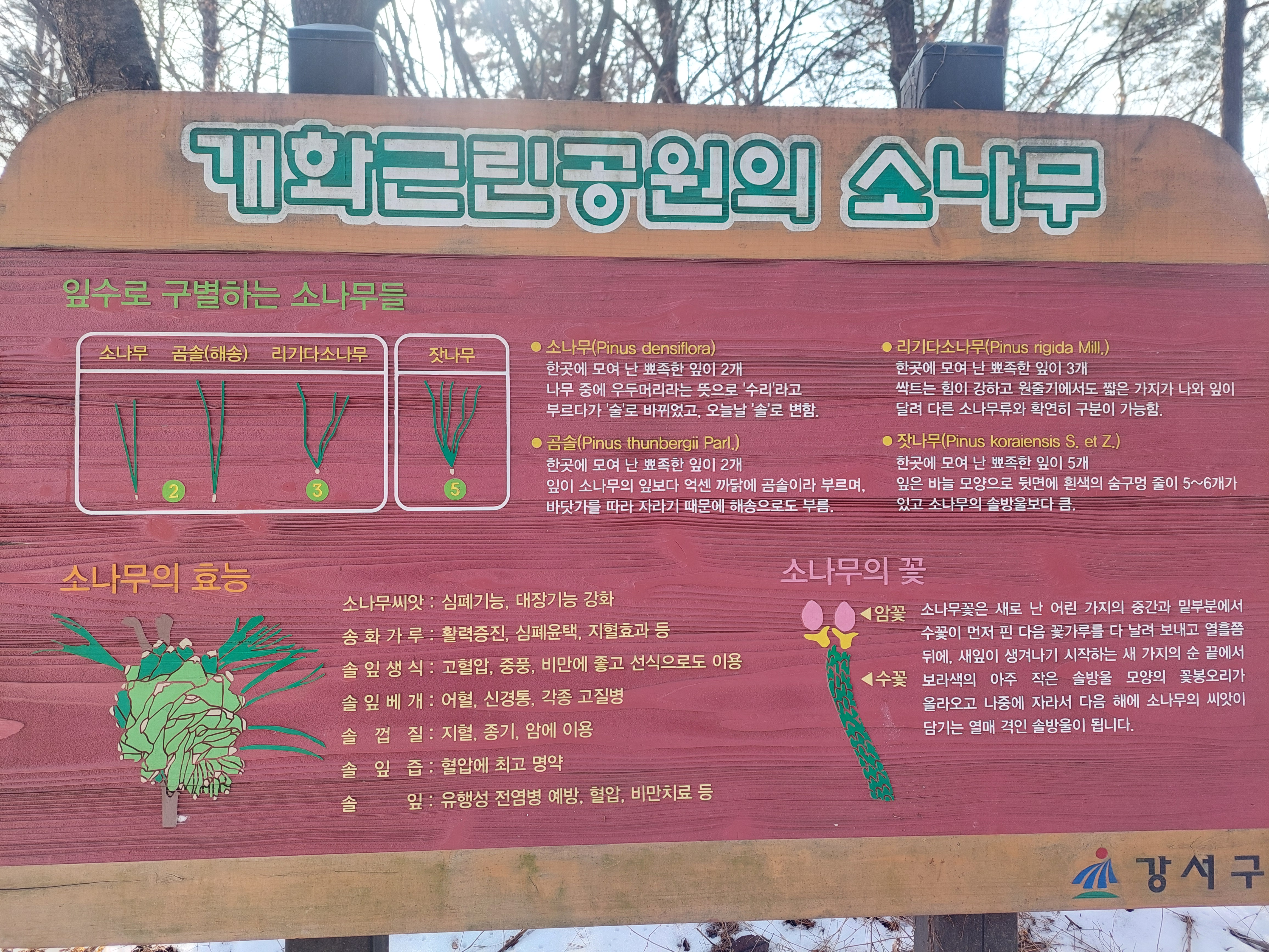 개화산